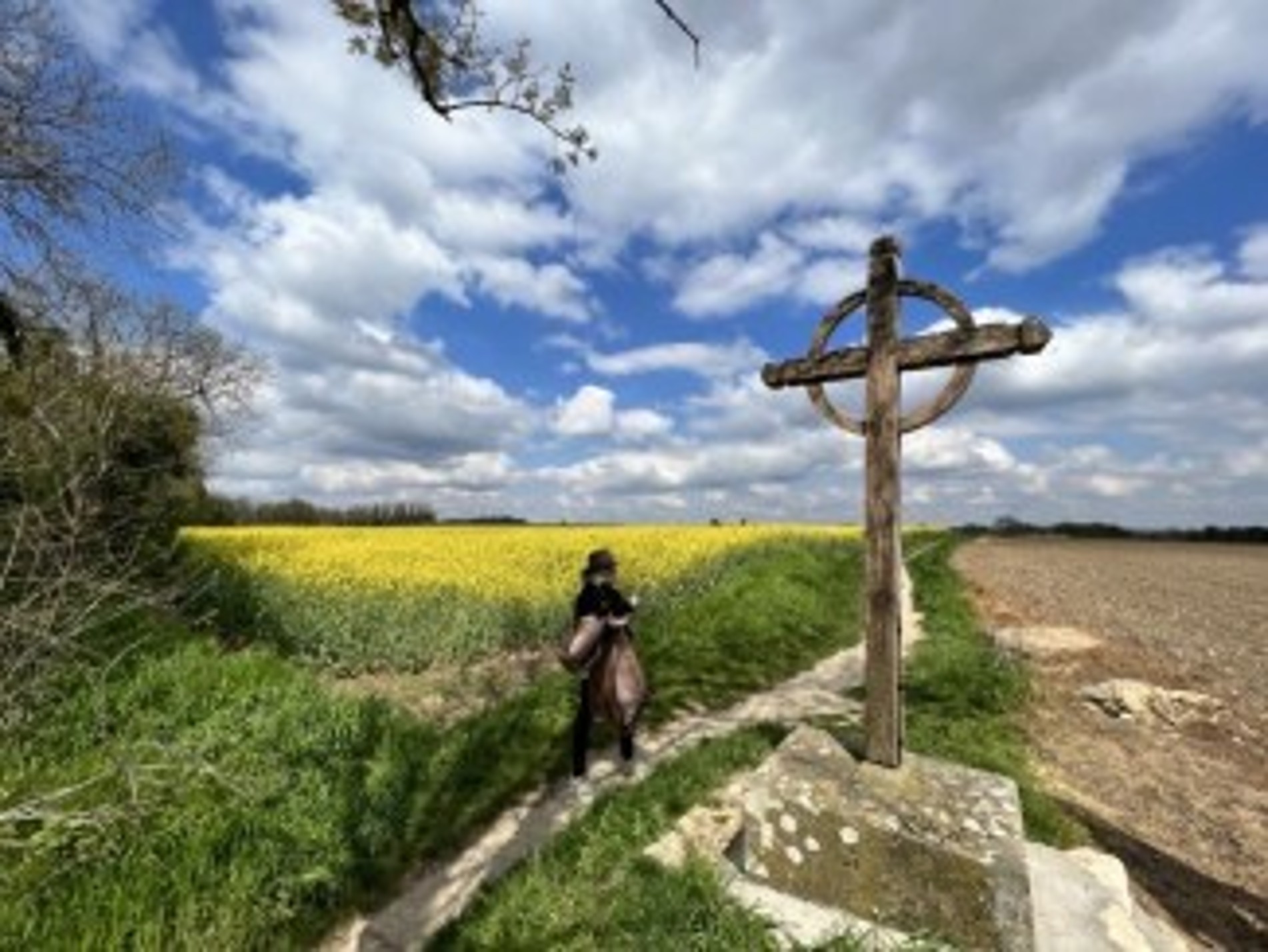 Van Gogh Field Auvers French Learning Immersion